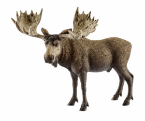 Schleich Wild Life         14781 Bull elk