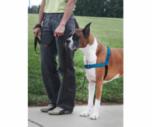 PetSafe® Postroj EasyWalk Deluxe modrý velikost L