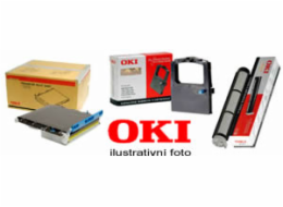 OKI Toner do B431/MB491 (12 000 stran)