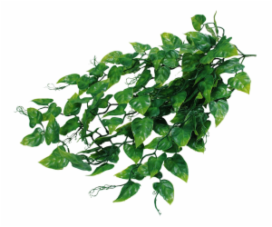 Lucky Reptile Jungle Plants Ivy Bush cca 50 cm