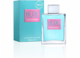 Antonio Banderas Blue Seduction For Women EDT 200 ml