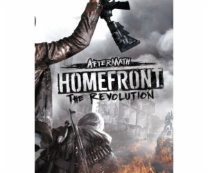 ESD Homefront The Revolution Aftermath