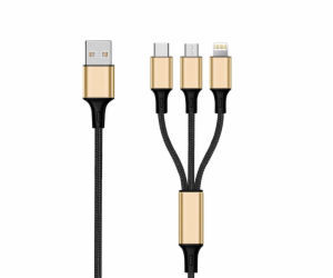 2Go 3in1 USB Ladekabel Gold 1,5 m F.Micro-USB, Lightn. Typ c