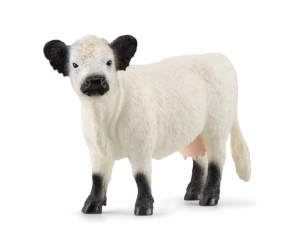 Schleich Farm World Galloway kráva, figurka na hraní