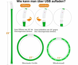 Anicoll LED Collar for Dogs and Cats Green