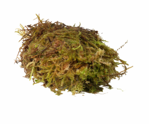 HabiStat Sphagnum Moss 1kg