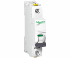 Schneider Electric Jistič IC60N 1P 2A D - A9F05102