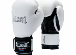 Allright BOXERSKÉ RUKAVICE LIMITOVANÁ EDICE 12oz univerzální