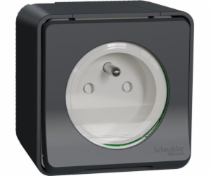 Schneider Electric Mureva Styl Socket 2P+PE antracitové š...