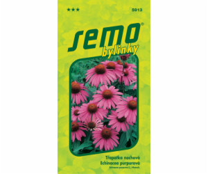 Semeno Třapatka nachová-Echinacea 1 g