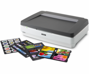 Epson Expression 13000XL PRO