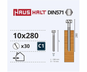 Vruty do dřeva Haushalt, DIN571, 10,0 x 280 mm, ZN, 30 ks.