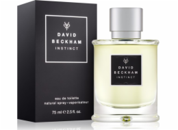 David Beckham Následuj svůj instinkt EDT 50 ml