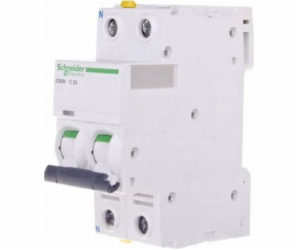 Schneider Electric Jistič 1P+NC 2A 6kA AC iC60N-C2-1N (A9...