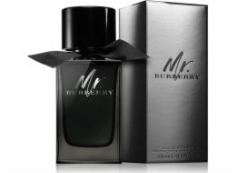 Burberry Mr. Burberry EDP 100 ml