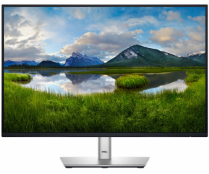 DELL LCD P2425E - 24,07"/IPS/LED/1920x1200/16:10/100Hz/8m...