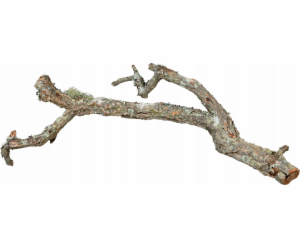 Terra Natura Cork Oak Branch, 60 cm, xl