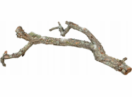 Terra Natura Cork Oak Branch, 60 cm, xl