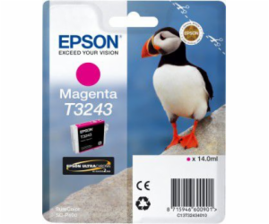 Epson Ink T3243 SC-P400 Purpurový inkoust (C13T32434010)