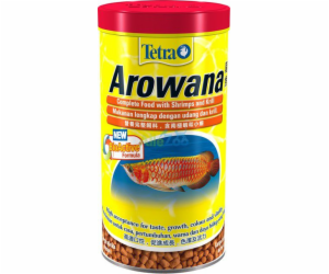 Tetra Arowana 1 rok