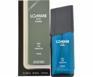 Lomani Spirit Millionaire EDT 100 ml