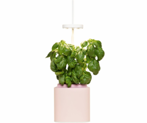 Pret a Pousser Nano Quartz Pink + Basil Pod