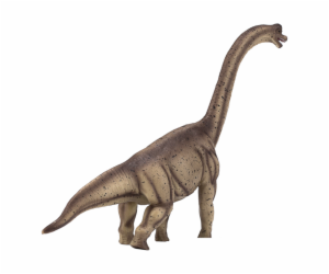 Mojo Brachiosaurus hnědý