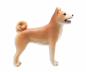 Mojo Pes shiba-inu