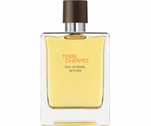 Hermes Terre d'Hermes Eau Intense Vetiver EDP 100 ml