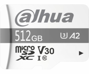 Dahua Technology TF-P100 MicroSDXC karta 512 GB Class 10 ...