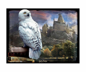 PRIME 3D PUZZLE - Harry Potter - Hedvika 300 ks