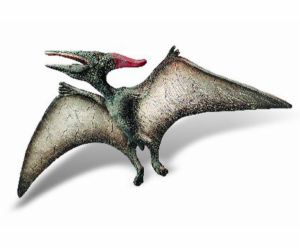 Pteranodon Museum Line