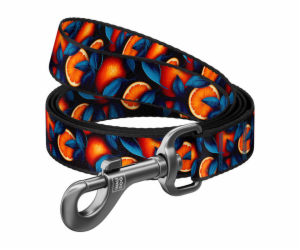 Nylon dog leash, pattern   Oranges   length 122 cm Waudog