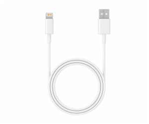 Tracer 47086 USB 2.0 iPhone AM Lightning 1m white