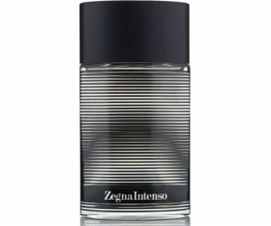 Ermenegildo Zegna Intenso EDT 100 ml