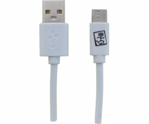 USB 2GO USB-A - USB-C kabel 1 m Bílá (795925)