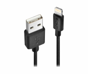 Lindy USB-A kabel USB – 0,5 m černý (31319)