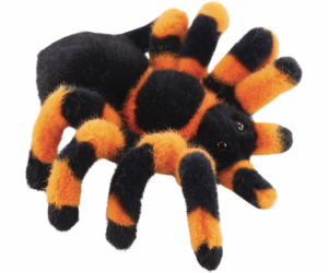 Pavouk tarantule 18 cm