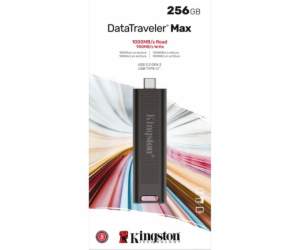 Kingston DataTraveler Max 256 GB, USB-Stick DTMAX/256GB