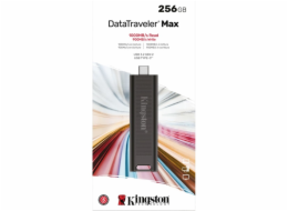 Kingston DataTraveler Max 256 GB, USB-Stick DTMAX/256GB