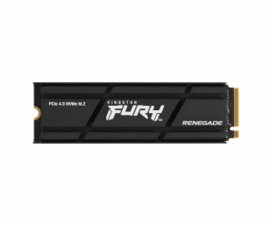 Kingston Fury Renegade 500GB, SFYRSK/500G Kingston SSD 50...