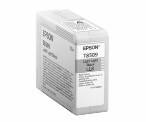 Epson cartridge svetle svetle cerna T 850 80 ml T 8509