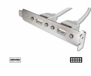 Digitus záslepka slotu s 2 USB porty + kabel 2x5pin 0,25m