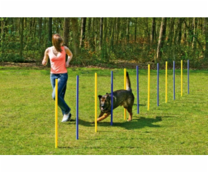 Karlie Agility slalom 12 x 100 cm