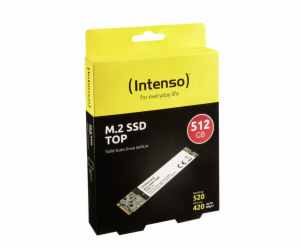 Intenso M.2 SSD TOP        512GB SATA III