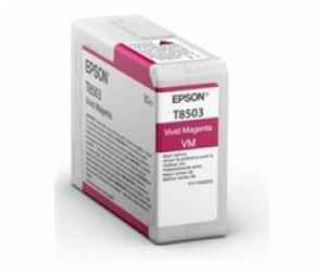 Epson Singlepack Photo Vivid Magenta T850300 UltraChrome ...