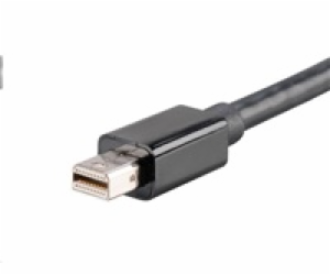 AKASA adaptér Mini DisplayPort na DVI passive, 20cm