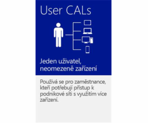 WINDOWS SERVER CAL 2019 CZ 5 CLT USER CAL OEM