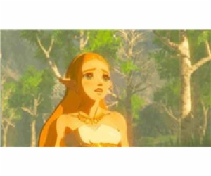 HRA SWITCH Lege. of Zelda Breath of Wild