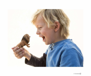 Schleich Wild Life Lev, rvouci